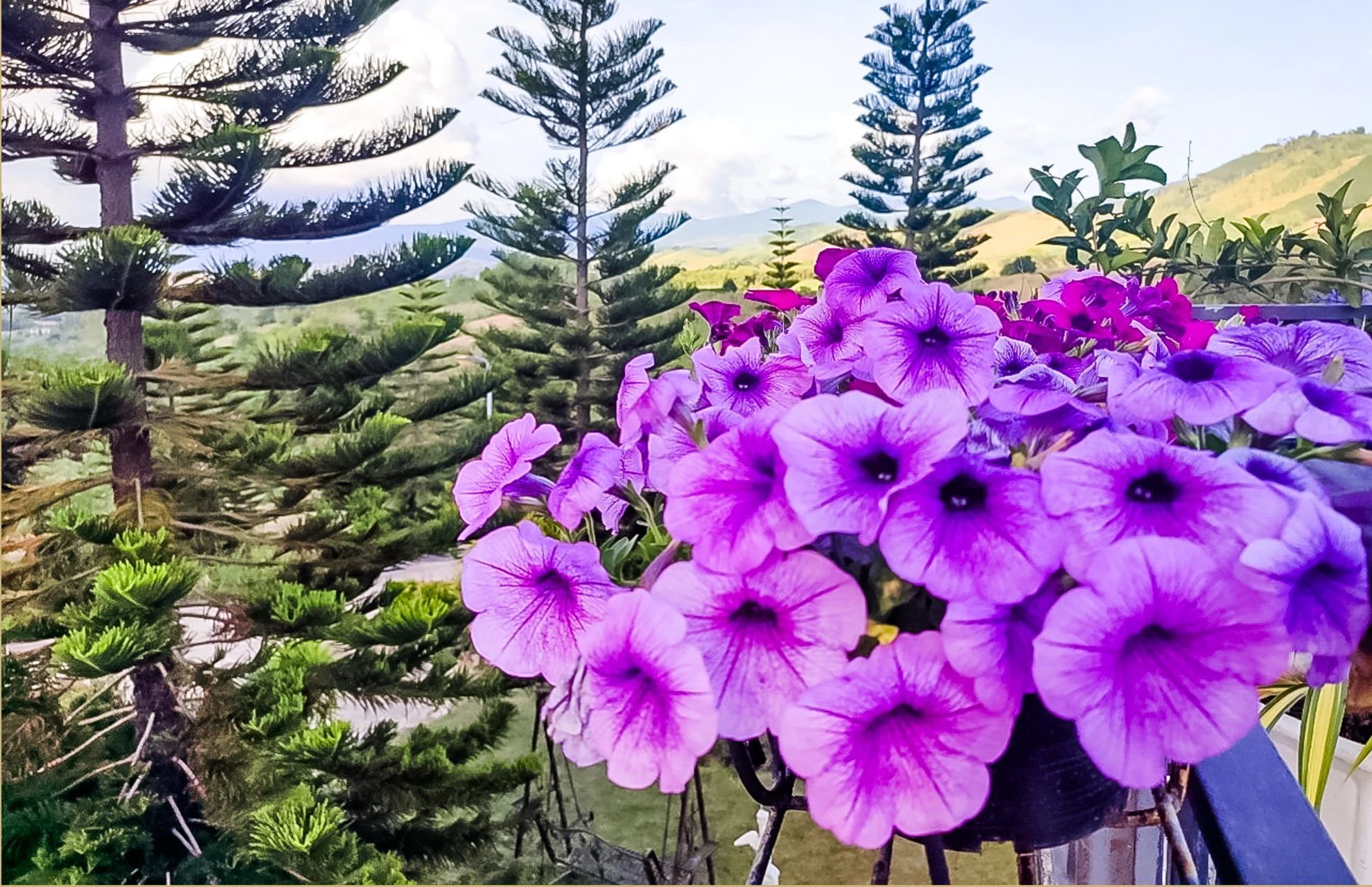 ทุ่งกังหันลมเขาค้อ